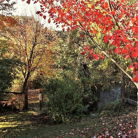 Mole Creek Guesthouse Esterno foto