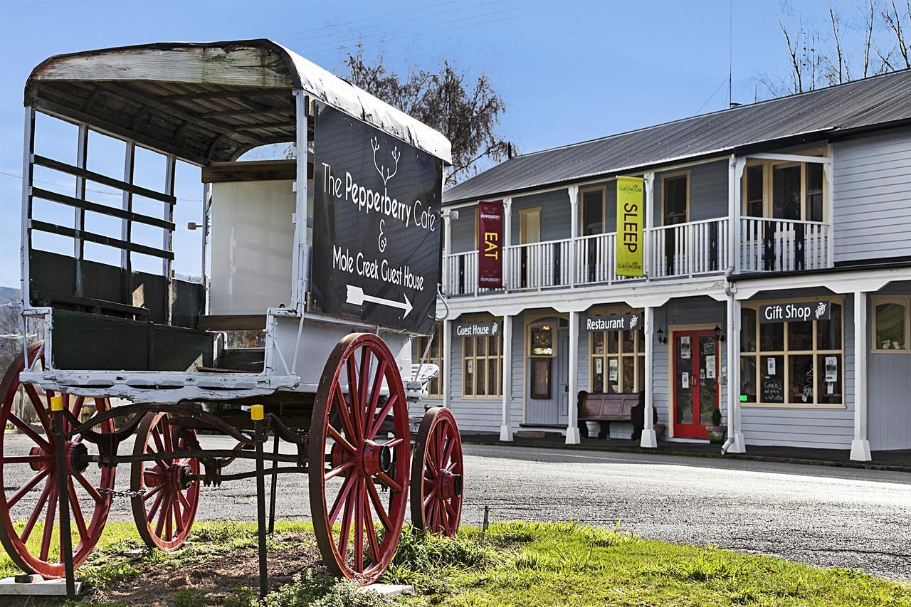 Mole Creek Guesthouse Esterno foto