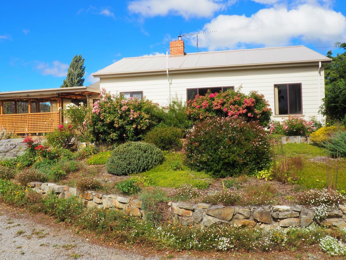 Mole Creek Guesthouse Esterno foto