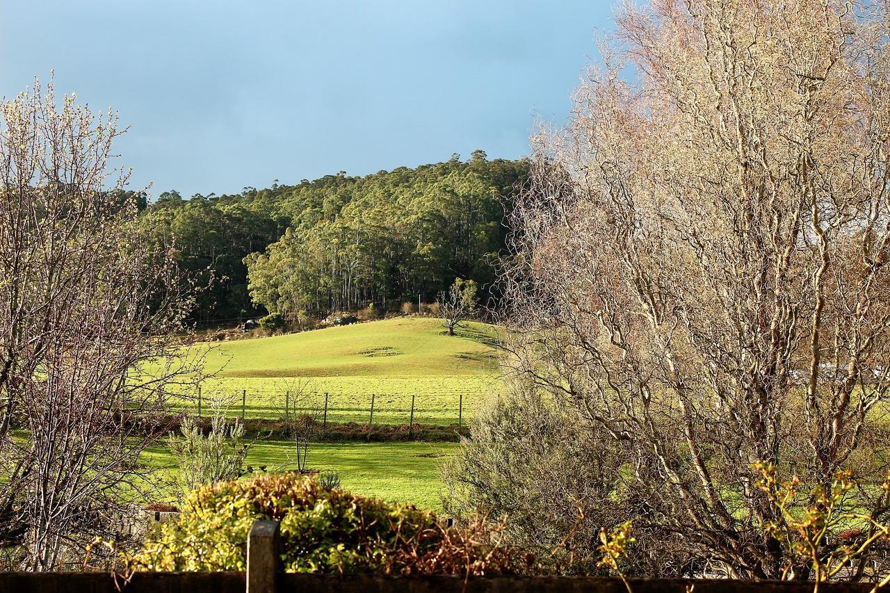 Mole Creek Guesthouse Esterno foto