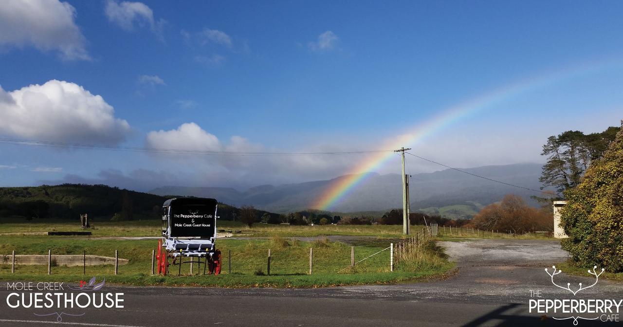 Mole Creek Guesthouse Esterno foto