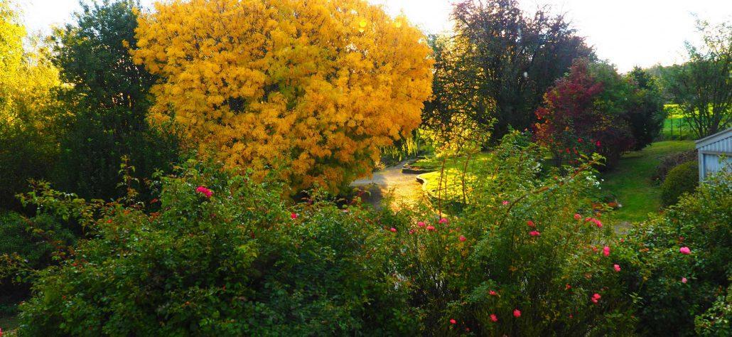 Mole Creek Guesthouse Esterno foto